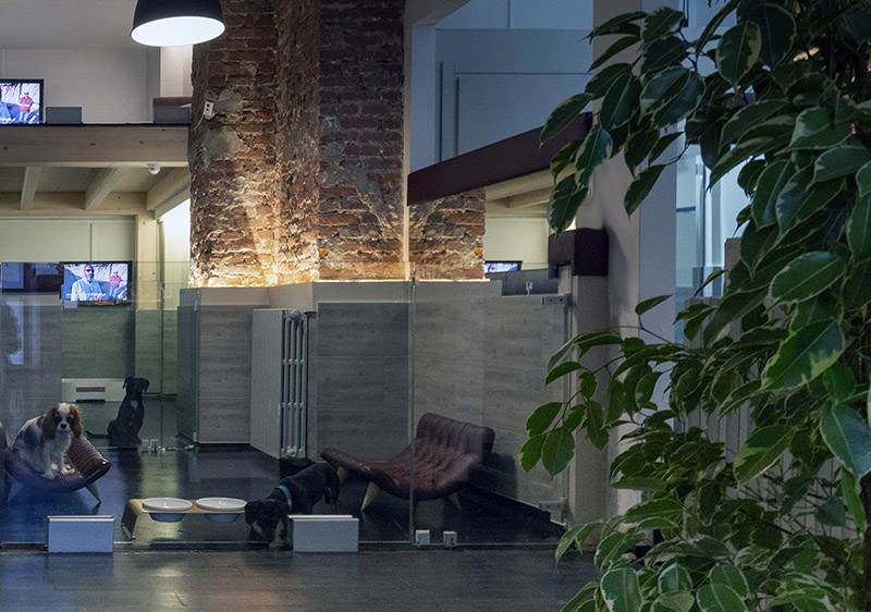 ispirazione e benessere