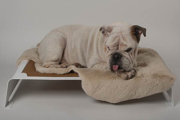 maison sissy gallery 2 maison sissy gallery 2