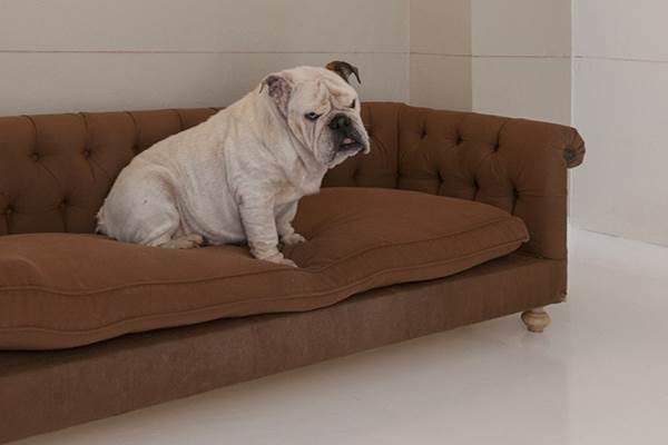 maison sissy gallery 4 maison sissy gallery 4