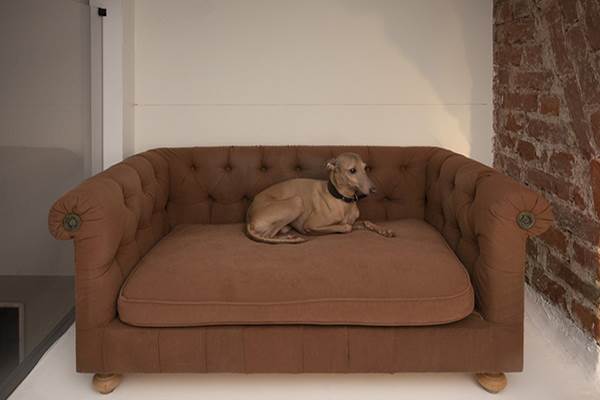 maison sissy gallery 5 maison sissy gallery 5