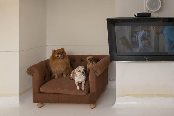 maison sissy gallery 6 maison sissy gallery 6