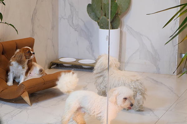 Sede maison sissy 01