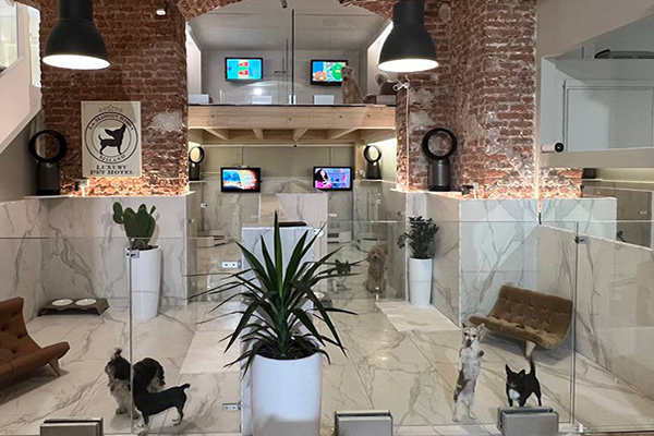 Sede maison sissy 03