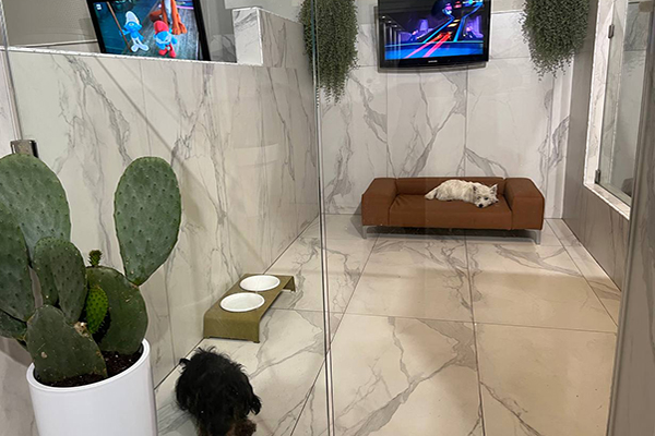 Sede maison sissy 04