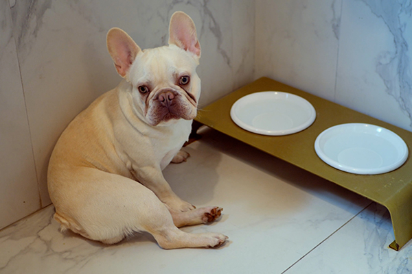 Sede maison sissy 06